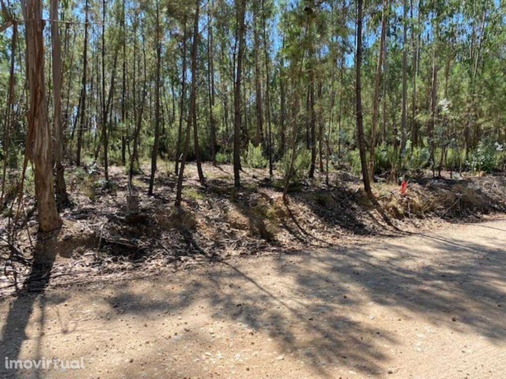 Terreno - Grande imagem: 2/7