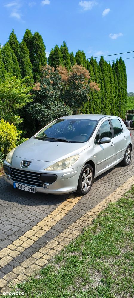 Peugeot 307 1.6 Oxygo - 4