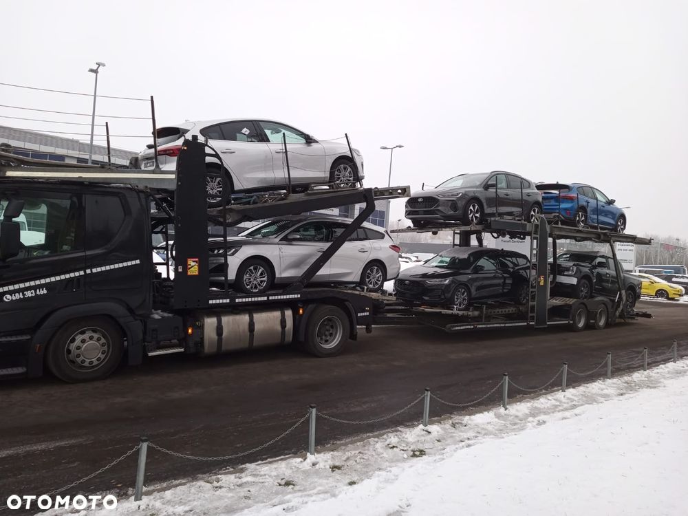 Inny Turdor Tunga - 8