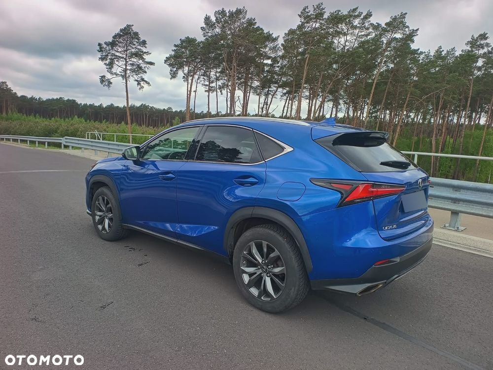 Lexus NX 300 F Sport AWD - 18
