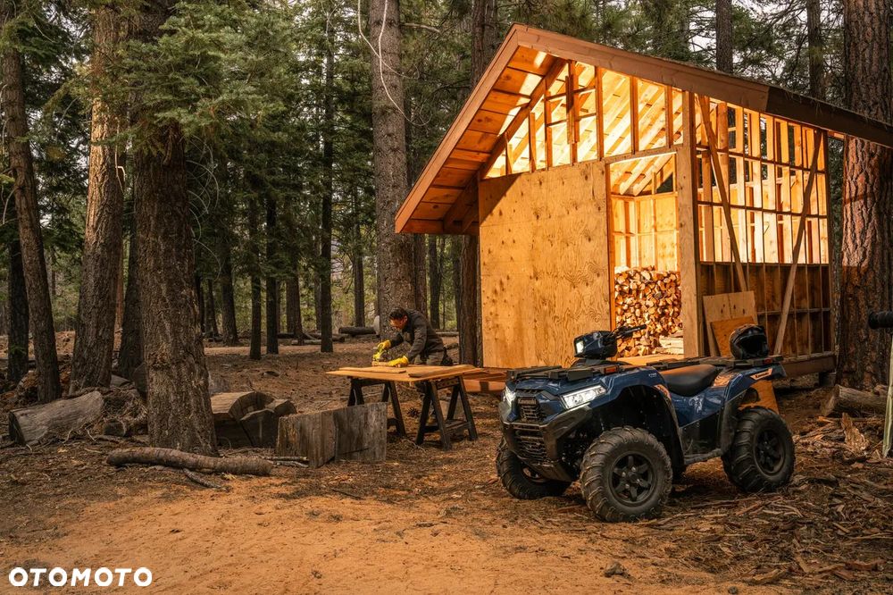 Kawasaki Brute Force - 13