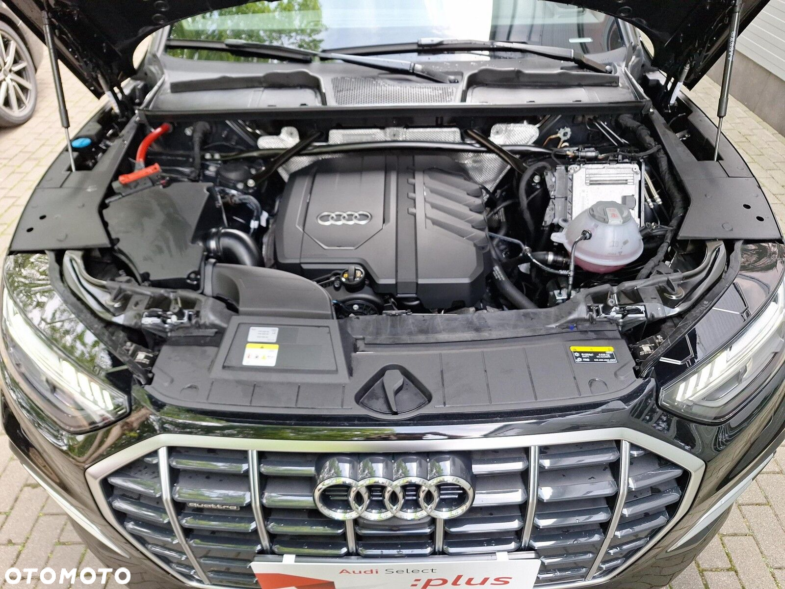 Audi Q5 - 17