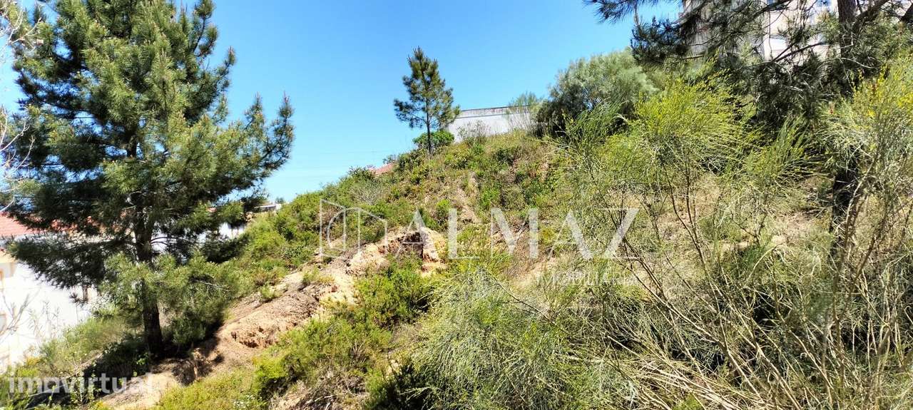 Lote de terreno a 3 kms da cidade de Santarém, no coração da... - Grande imagem: 5/10