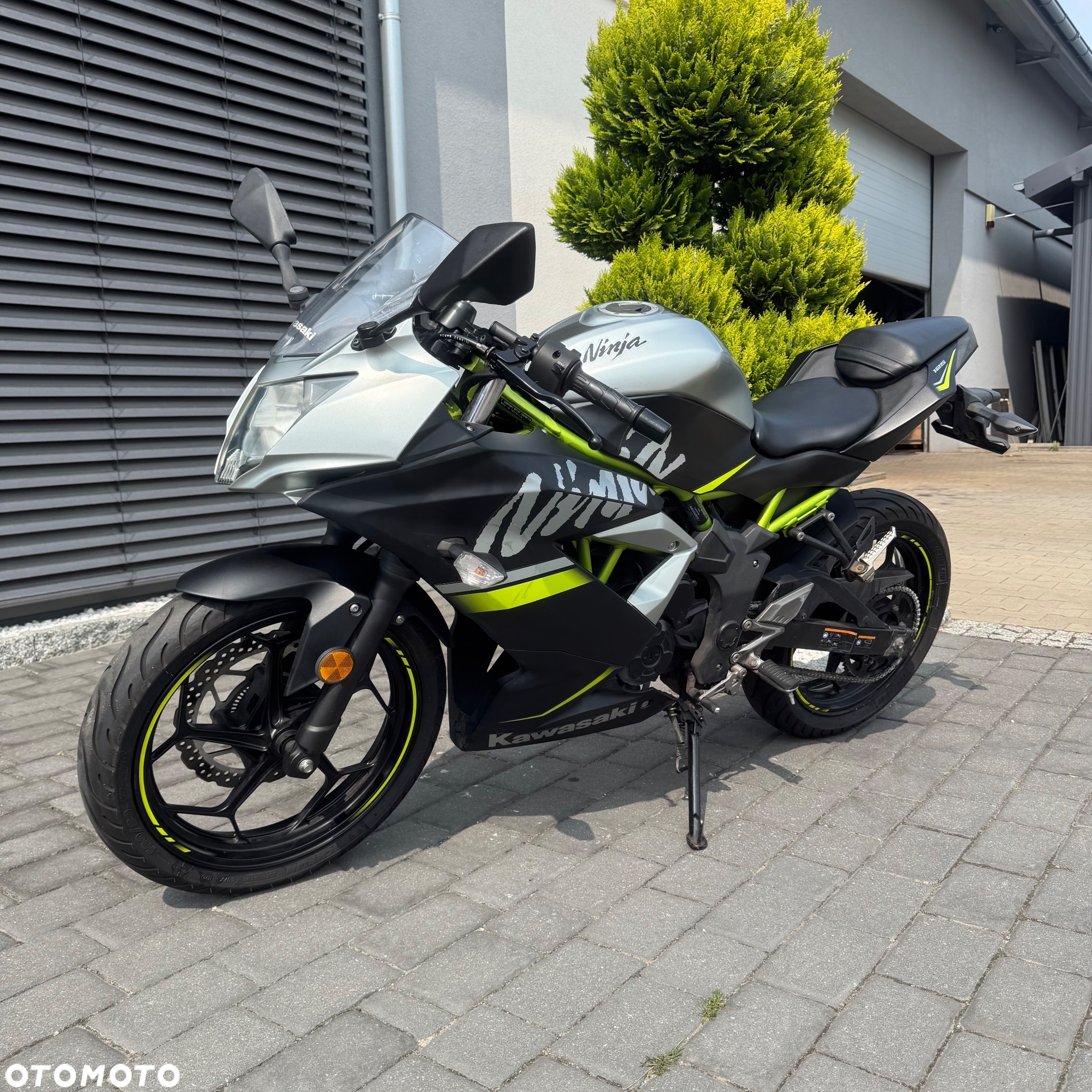 Kawasaki Ninja - 9