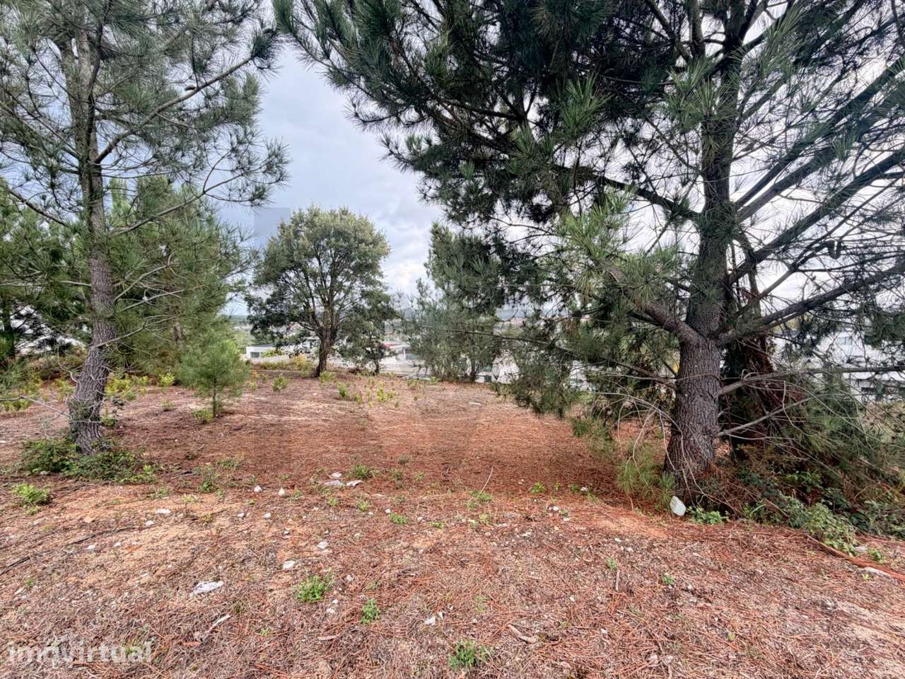 Lote de Terreno para contrução - Rio Maior - - Grande imagem: 3/10