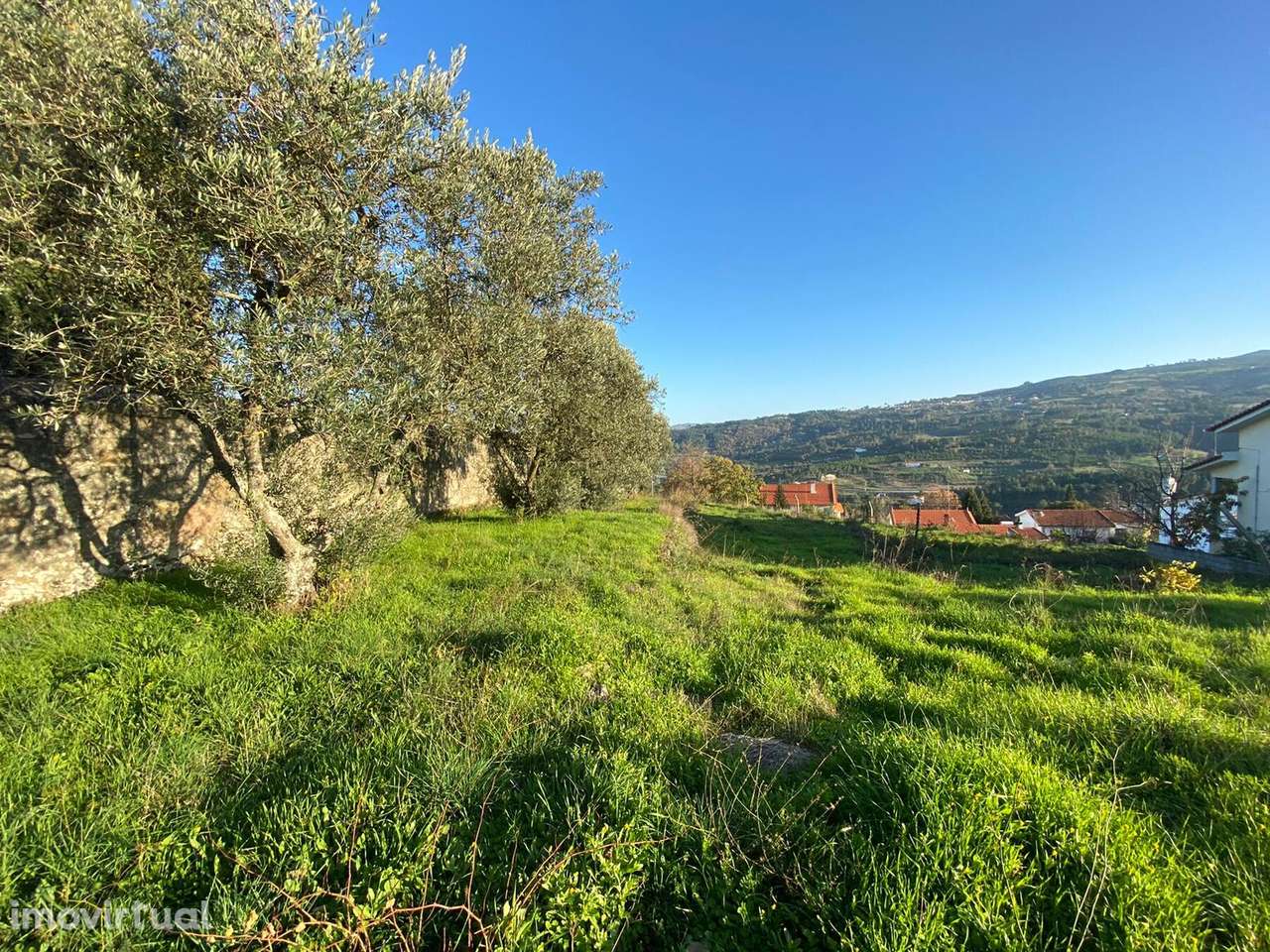 Urban land/Land em Guarda, Celorico Da Beira REF:734 - Grande imagem: 2/11