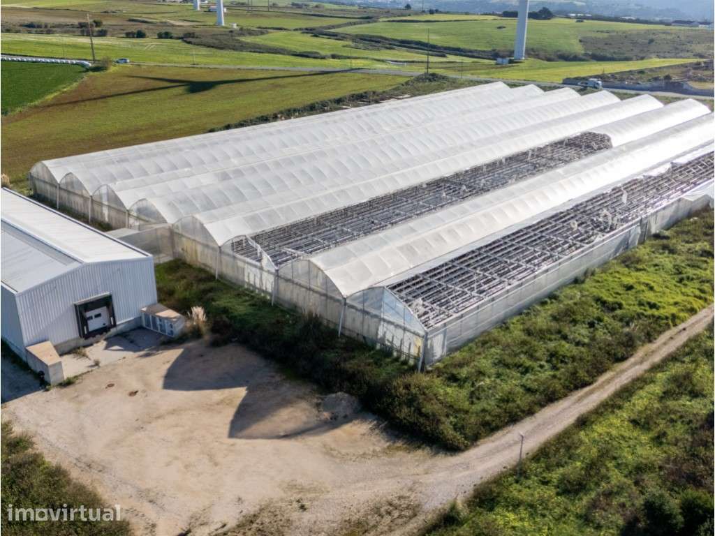 Terreno com 4,750 ha com vista sobre o mar em Ribamar na Ericeira - Grande imagem: 2/22
