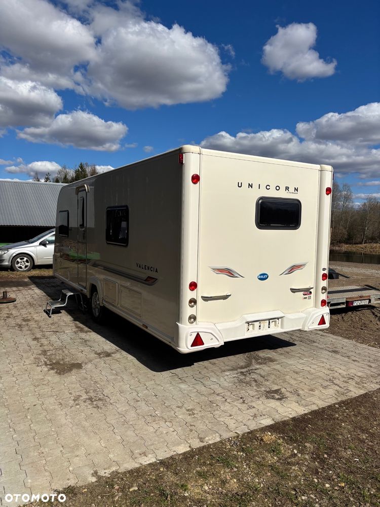 Bailey Unicorn Valencia - 4