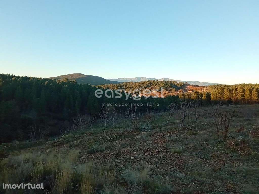 Terreno Rústico na Serra da Gardunha - Grande imagem: 3/13