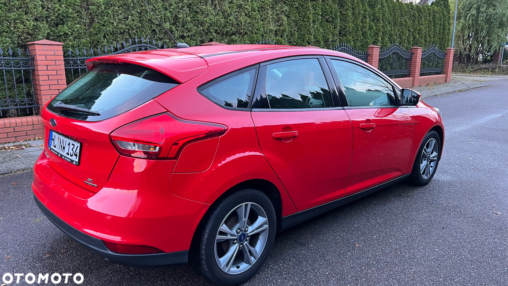 Ford Focus - 5