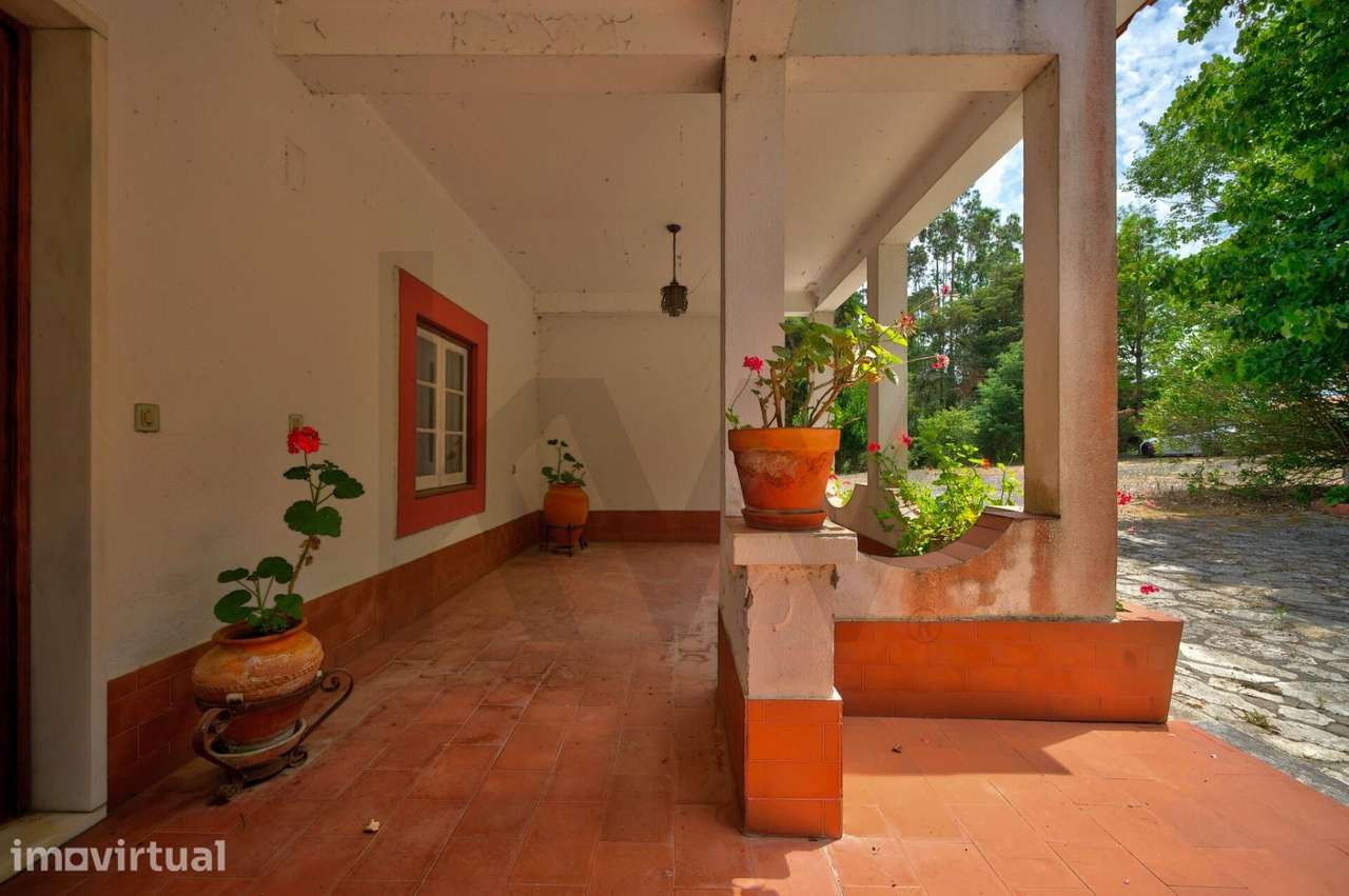 Quinta com 32ha de terreno e várias edificações - Coto, Caldas da Rain - Grande imagem: 3/60
