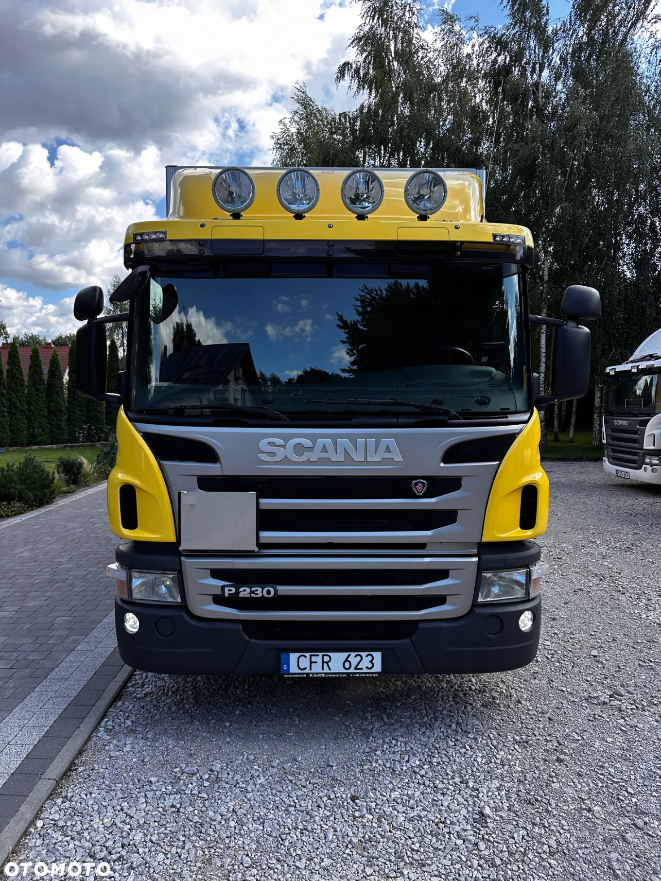 Scania P230 - 16