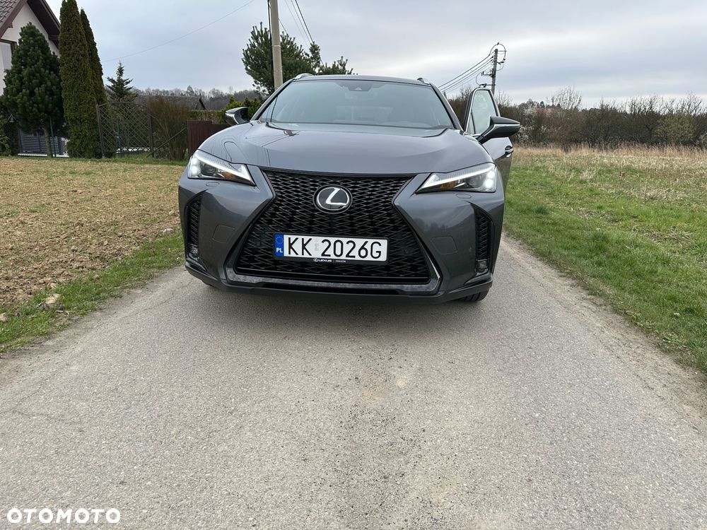 Lexus UX - 5