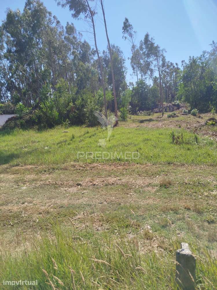 Terreno perto da Ria - Grande imagem: 3/7