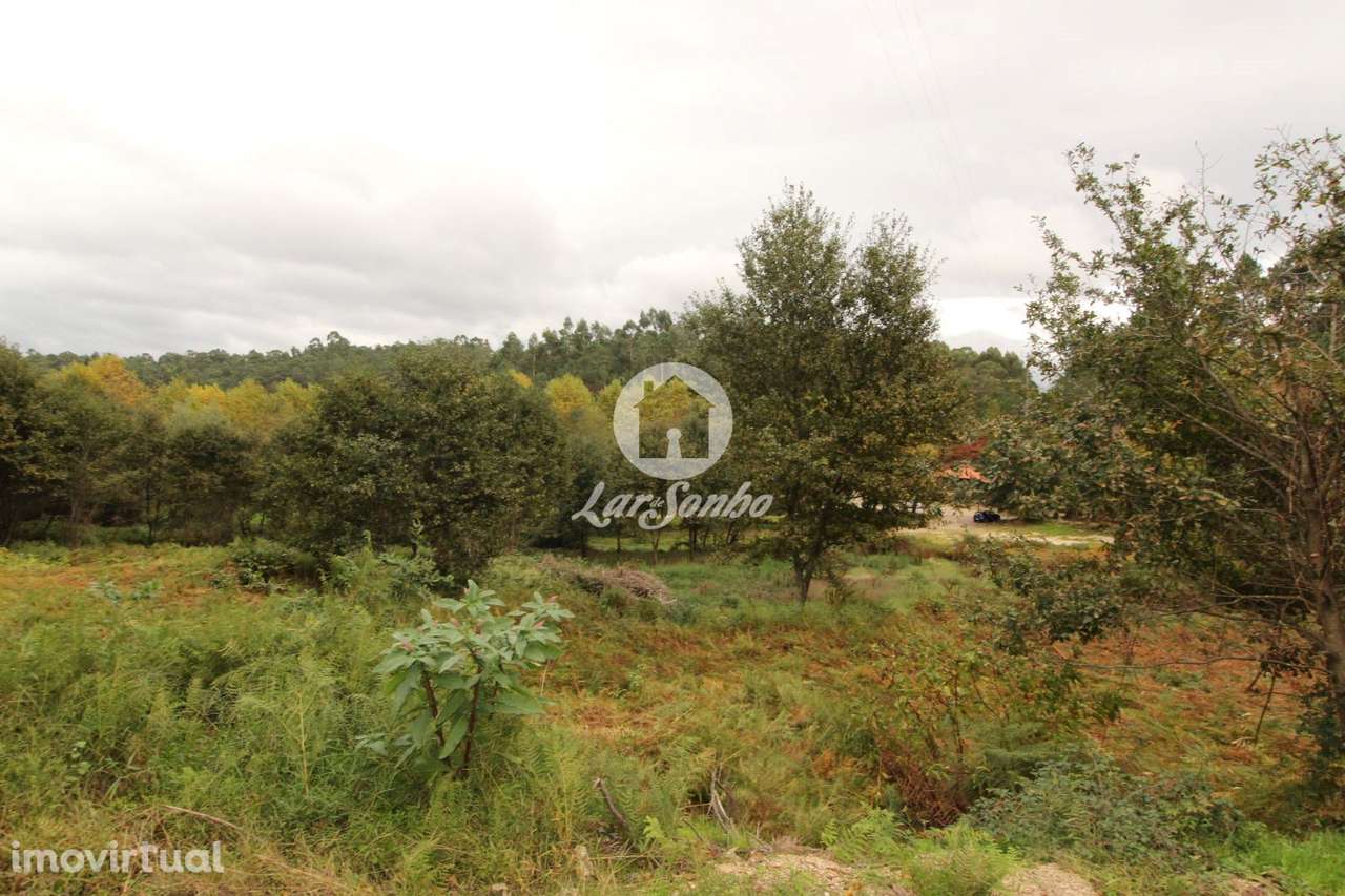 Terreno Venda Agilde Celorico de Basto - Grande imagem: 3/8