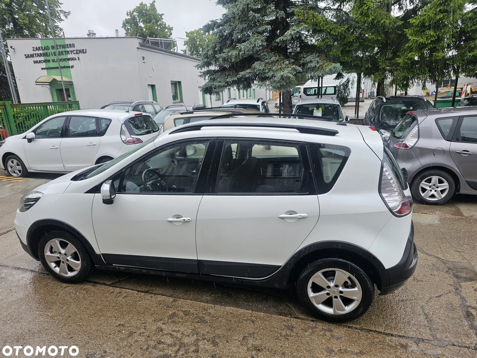 Renault Scenic - 38