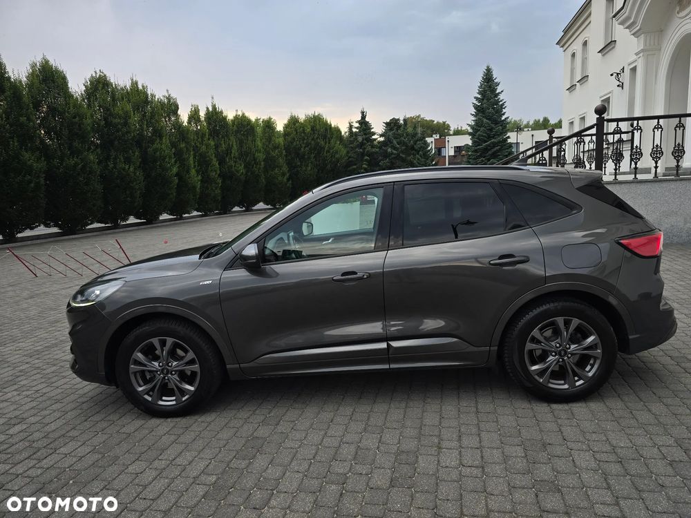 Ford Kuga 2.0 EcoBlue 4x4 ST-LINE - 11