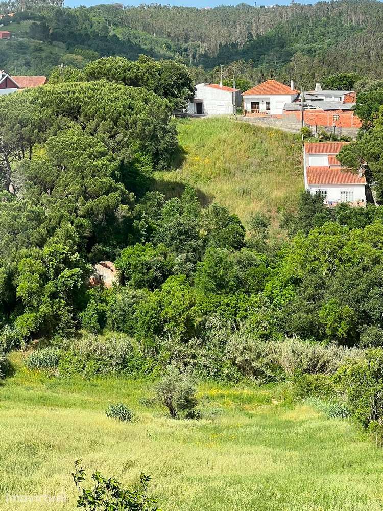 Terreno com 2.705 m² na Boavista, Alcobaça - Grande imagem: 5/6