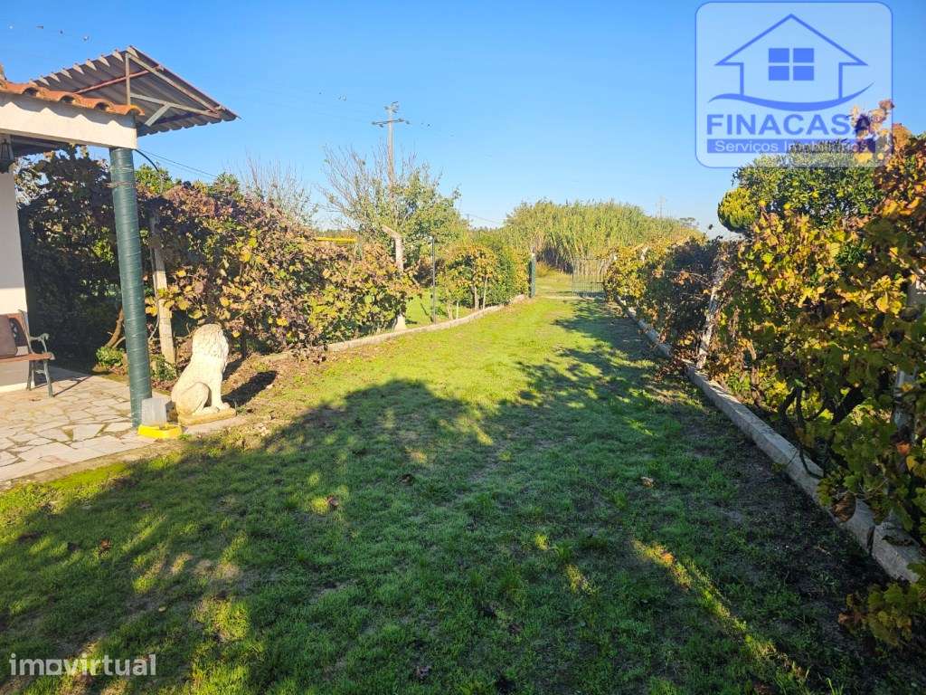 EXCLUSIVO - Quinta com 2069 m2, T1 e um armazém - Asseiceira(Palmela) - Grande imagem: 3/56
