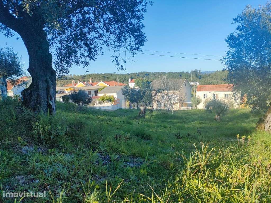 Terreno Urbano com 830m2 - São Simão, Tomar - Grande imagem: 2/6