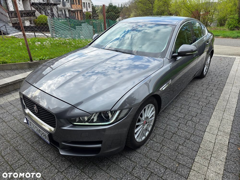 Jaguar XE E-Performance Pure - 1