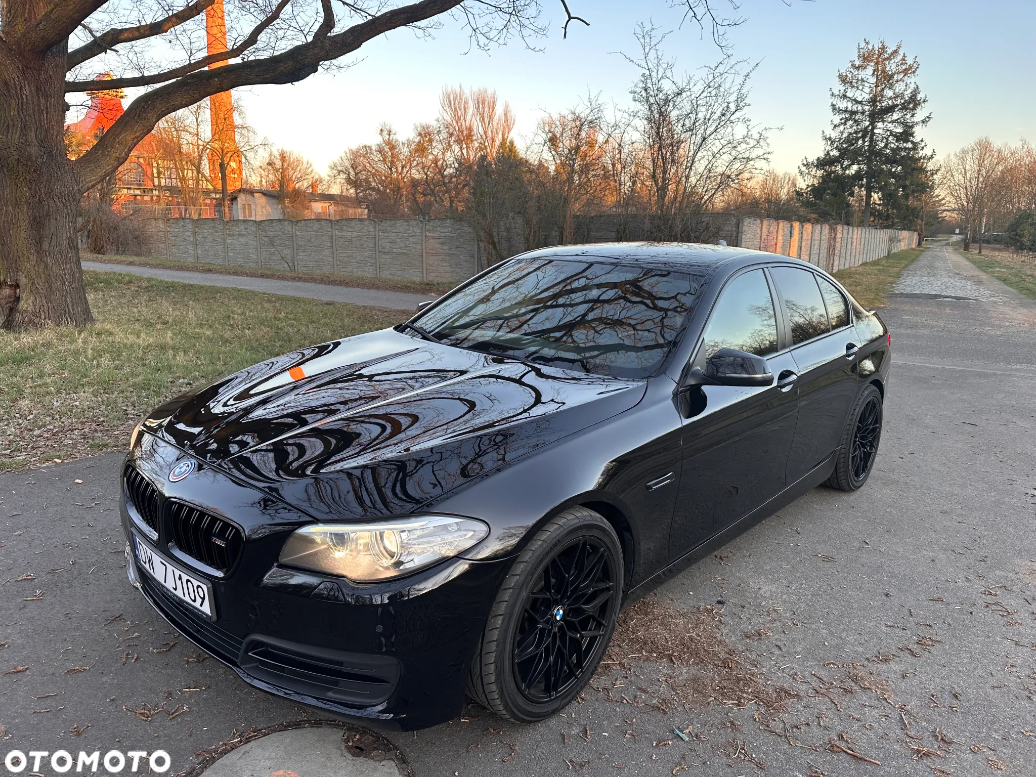 BMW Seria 5 518d Luxury Line - 2