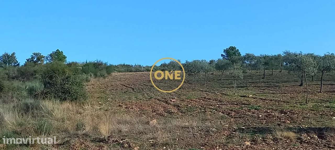 Terreno rústico/agrícola com 1,7 hect, em Argozelo, Vimioso, Bragança - Grande imagem: 2/17