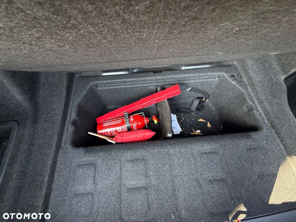 BMW Seria 3 318d Luxury Line - 25