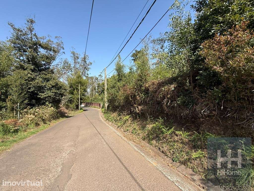 Terreno Rústico no Santo António da Serra, Santa Cruz - Grande imagem: 4/9