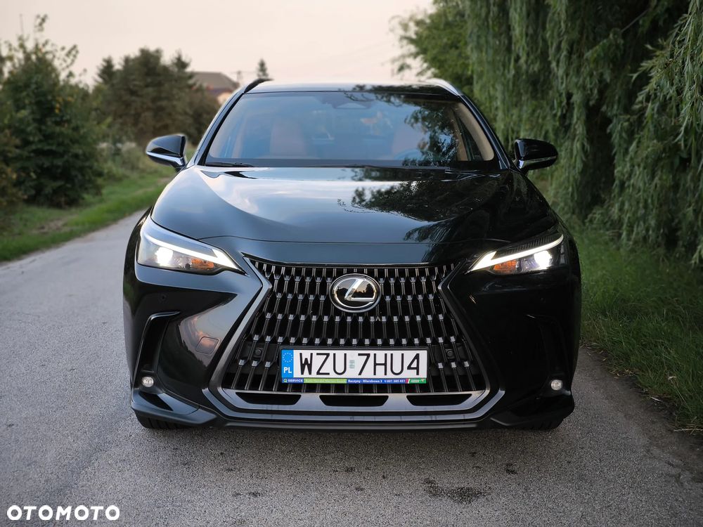 Lexus NX - 7