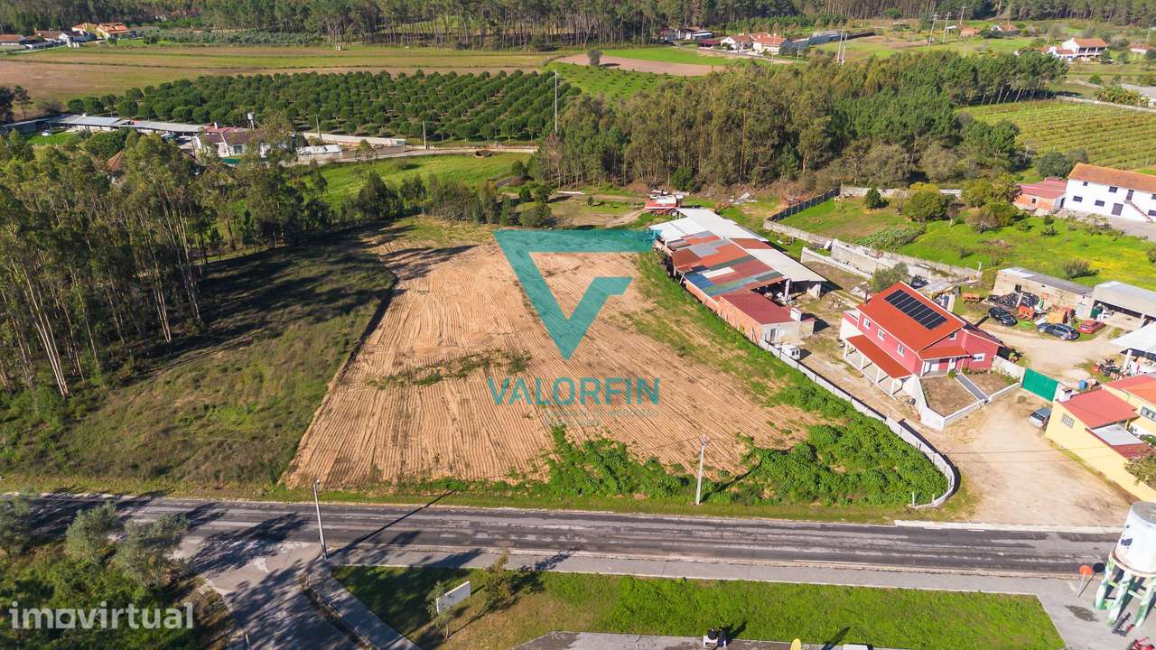 Terreno 2.000m², construção de moradia, Souto da Carpalhosa. - Grande imagem: 2/7