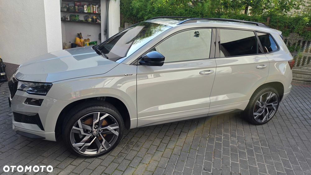 Skoda Karoq - 2