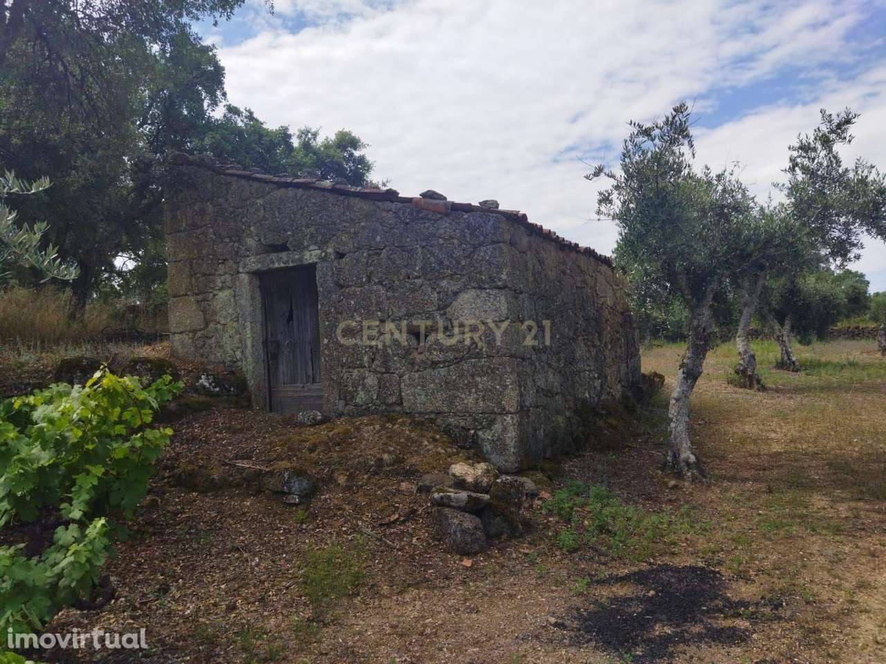 Terreno rústico | Lousa CTB, Castelo Branco - Grande imagem: 2/28