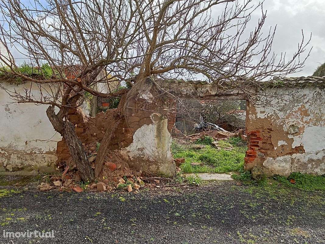 Armazém  para venda - Grande imagem: 5/11
