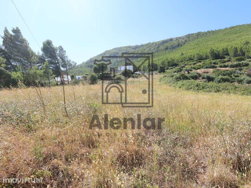 Terreno rústico com 3.440 m² junto à Serra de Montejunto - Natureza... - Grande imagem: 4/10