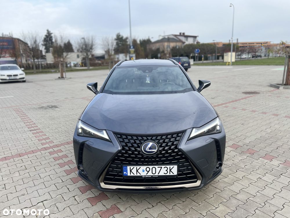 Lexus UX 250h GPF F Impression 2WD - 14