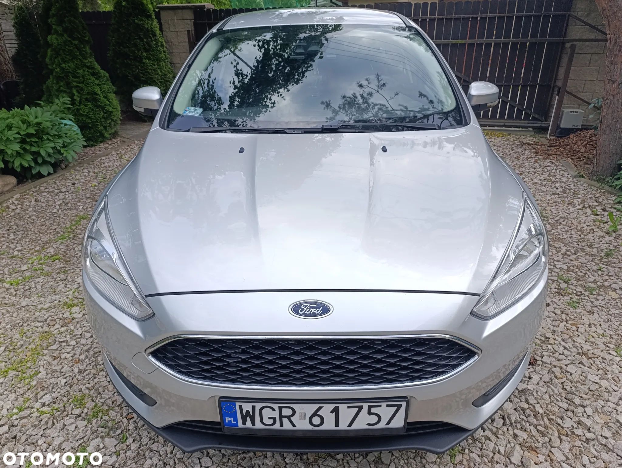 Ford Focus 1.5 TDCi SYNC Edition - 1