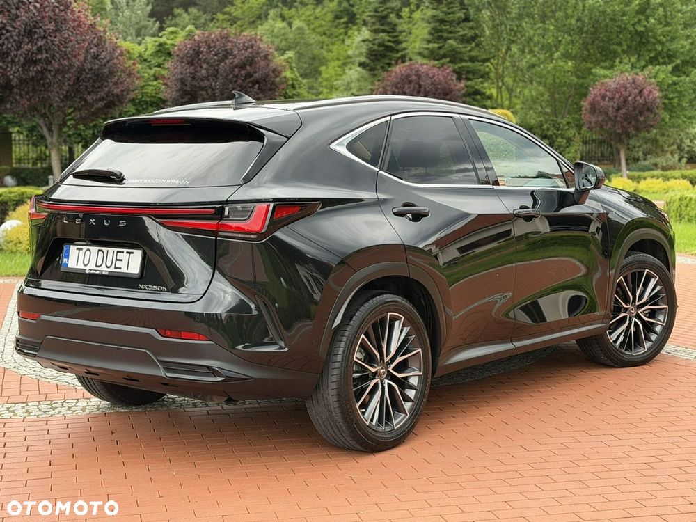Lexus NX - 13