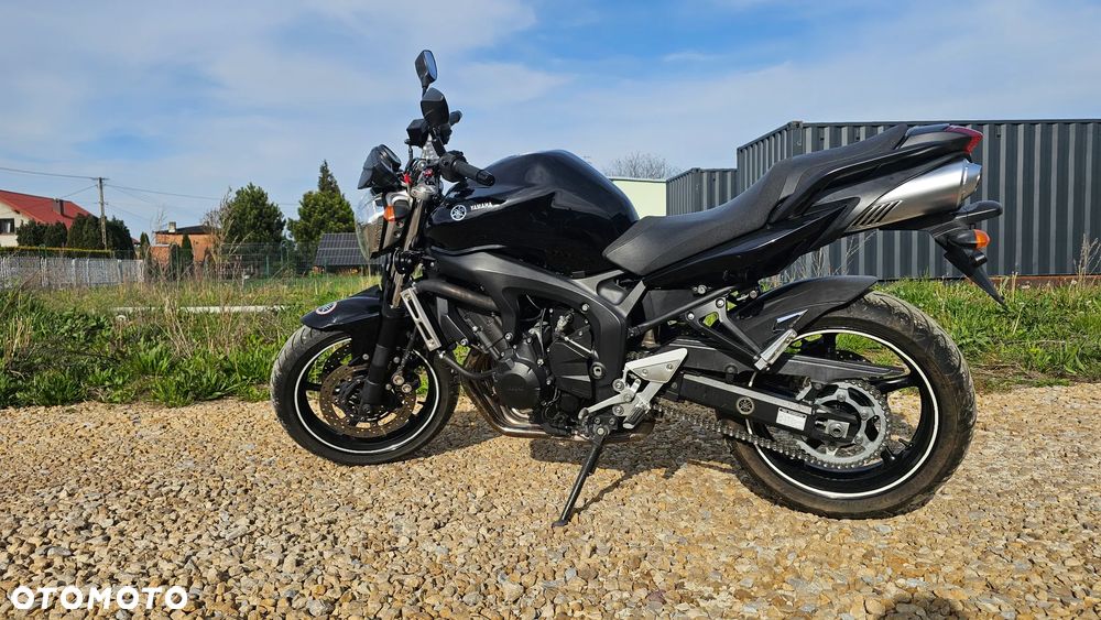 Yamaha FZ6 - 3
