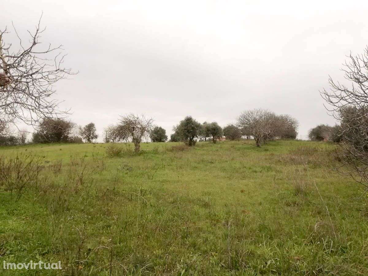 Terreno para Construção - Grande imagem: 3/3