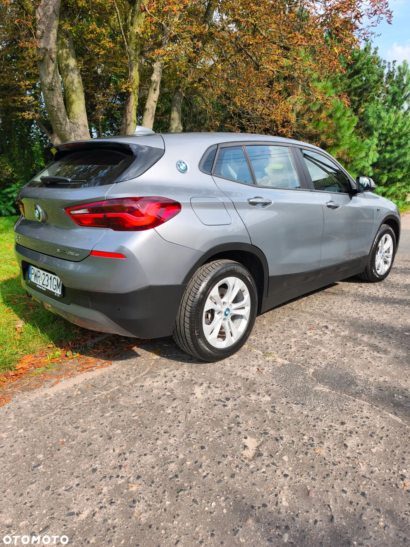 BMW X2 xDrive25e Advantage - 7