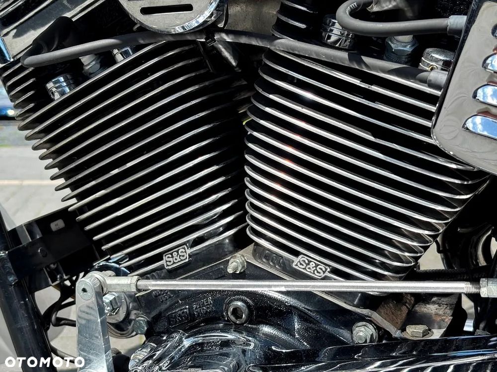 Indian Chief - 21