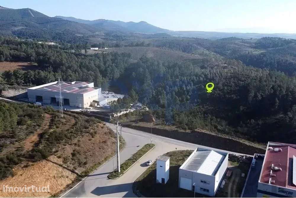 Terreno Rústico em Vila Real - Grande imagem: 2/7