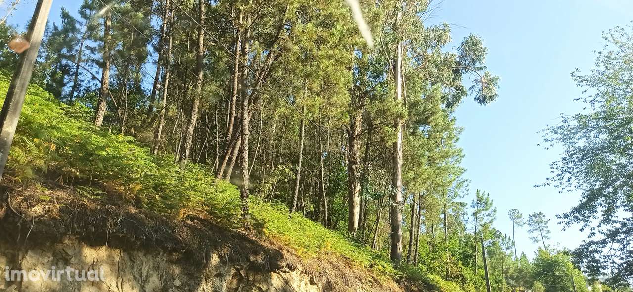 Terreno em Orgens - Grande imagem: 5/5