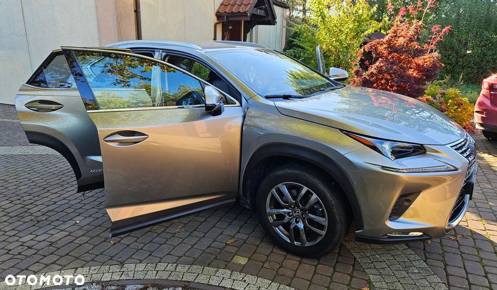 Lexus NX 300h Prestige AWD - 14