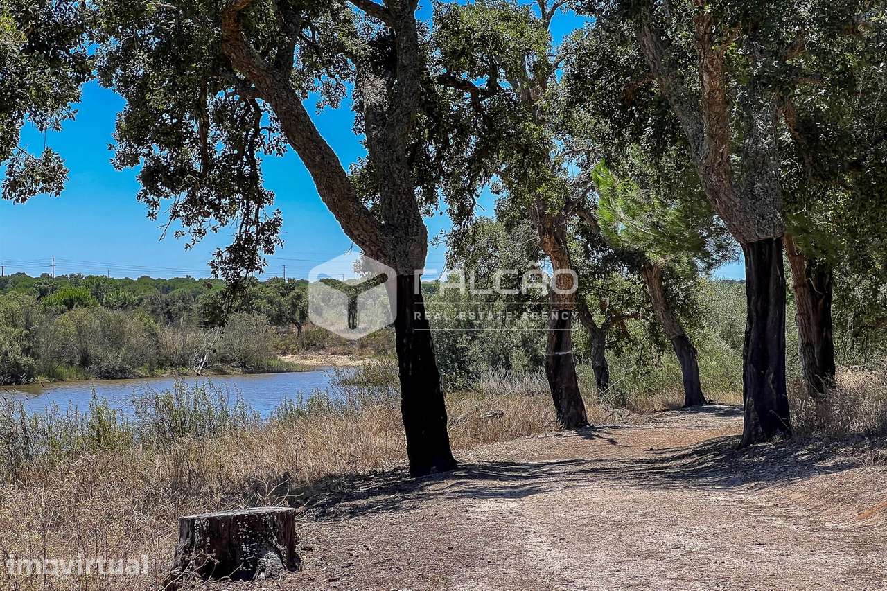 Lote de Terreno  Venda em Santo Estêvão,Benavente - Grande imagem: 3/30