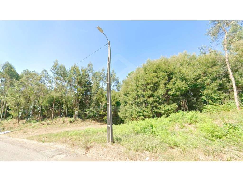 Terreno em S. Vicente de Pereira - Grande imagem: 2/6
