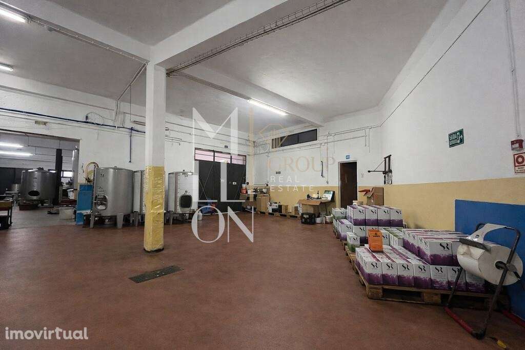 Armazém com uma área de 463 m2  – Almeirim - Grande imagem: 4/9