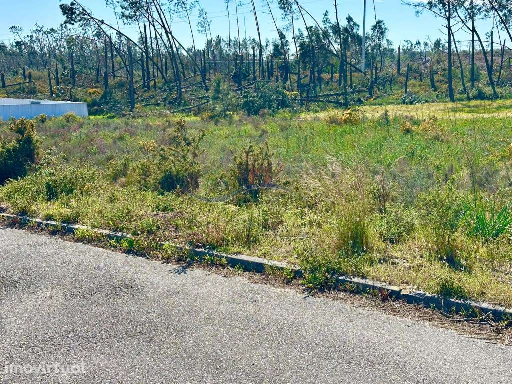 Terreno - Amor, Leiria - Grande imagem: 2/13