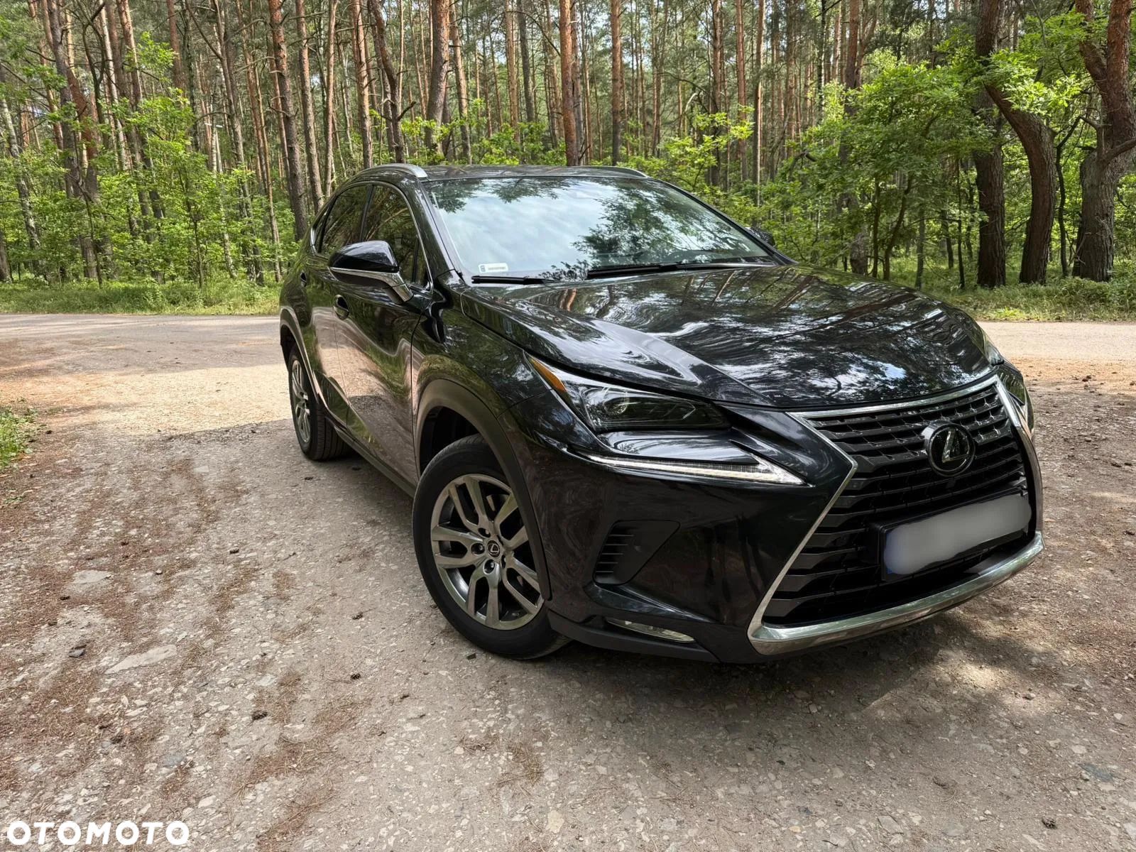 Lexus NX 300 Comfort AWD - 1